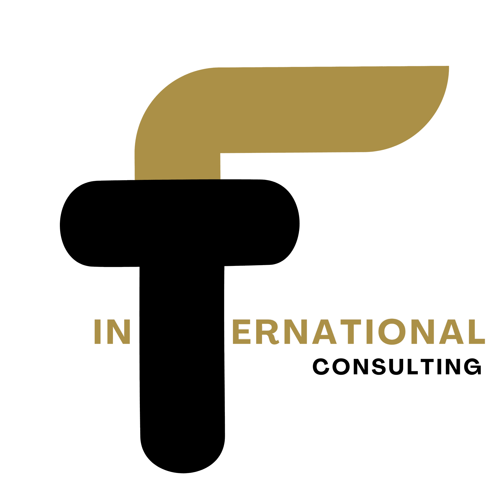 FT International Consulting